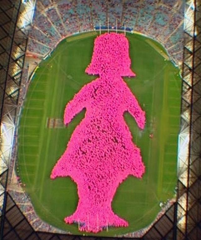 The Breast Cancer Network's Pink Lady NRL Silhouette