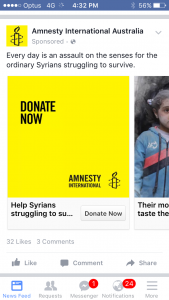 Amnesty International Carousel Donate